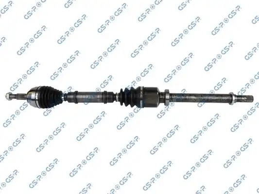 GSP 299188