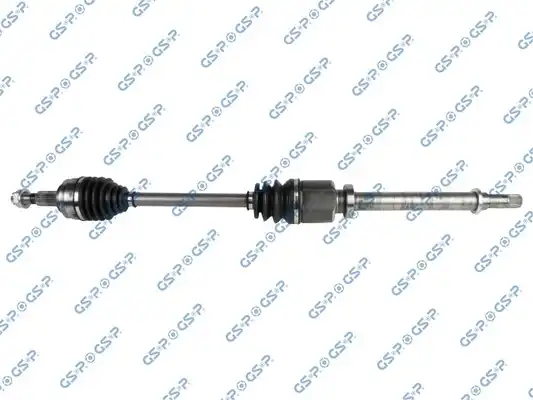 GSP 299229