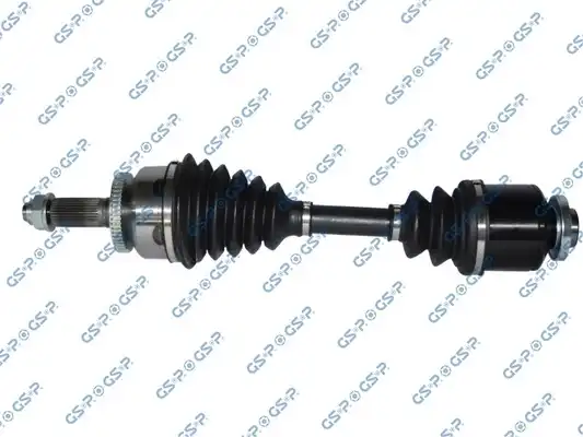 GSP 299278
