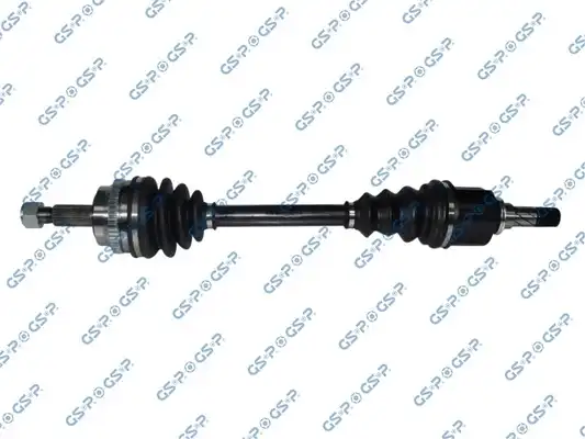 GSP 299286