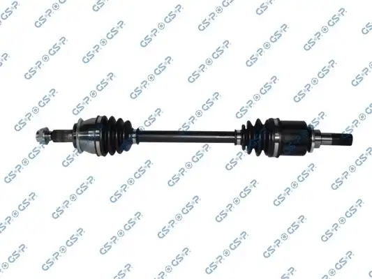 GSP 299288