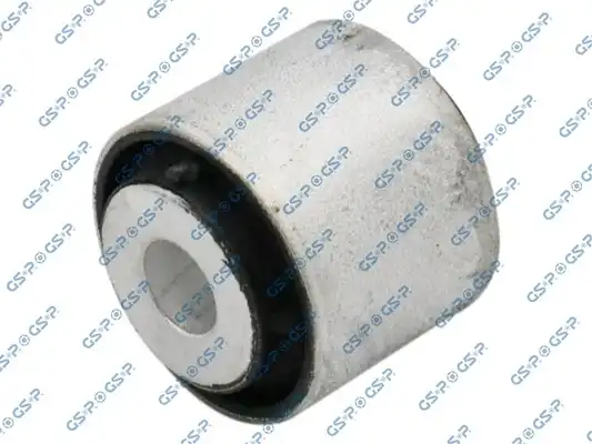 GSP 510513