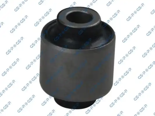GSP 513689