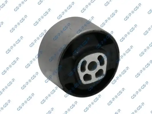 GSP 513901