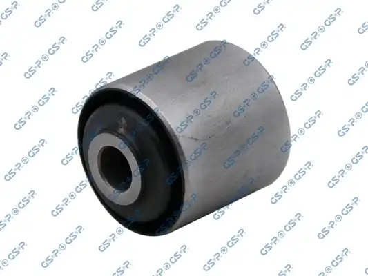 GSP 516676