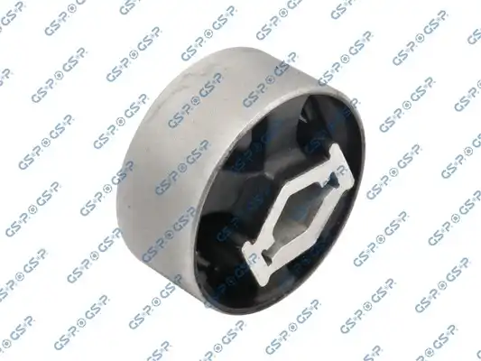 GSP 530569