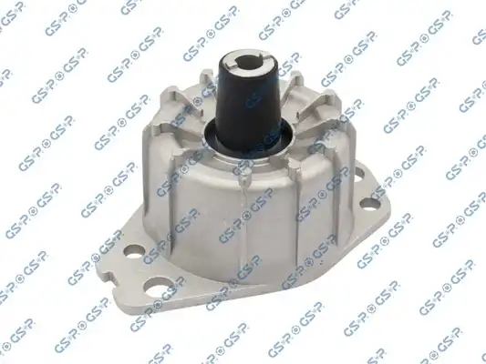 GSP 532898