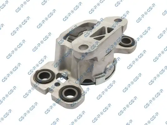 GSP 533935