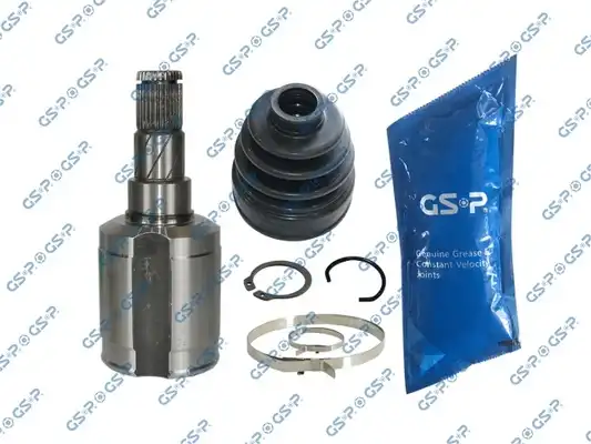 GSP 601466