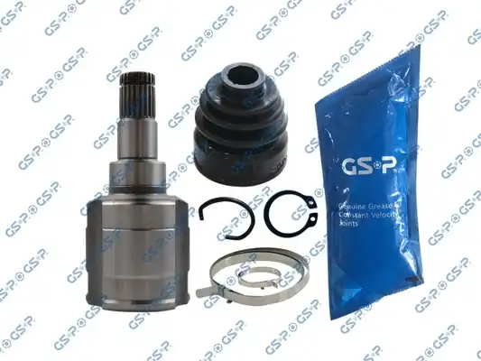 GSP 601865