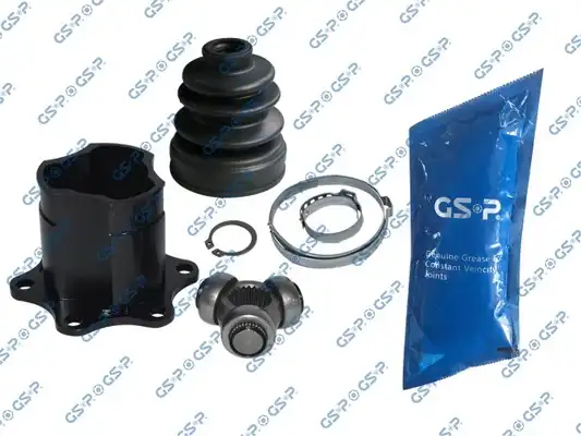GSP 661070