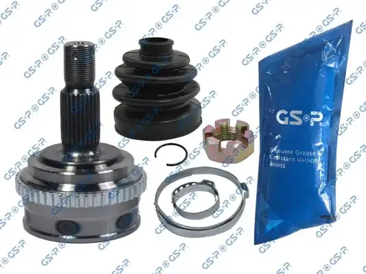 GSP 810018