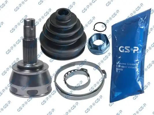 GSP 817011