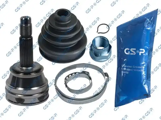 GSP 817019