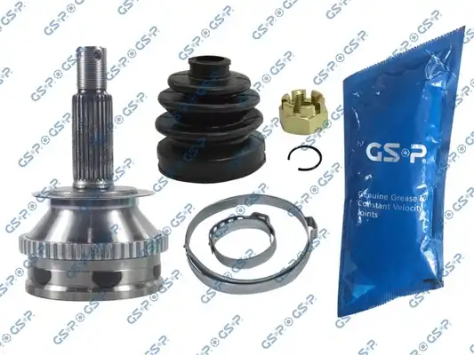 GSP 824091