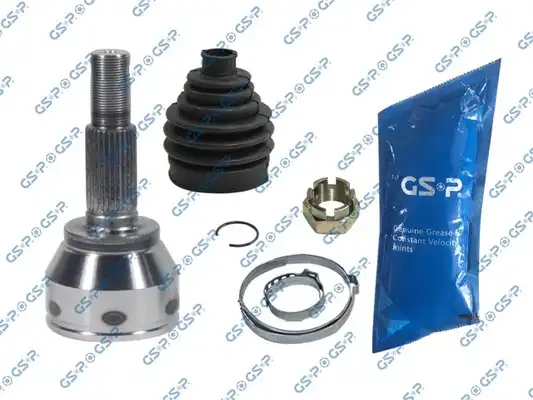 GSP 841343