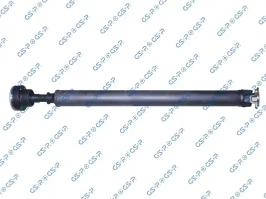 GSP PS900589