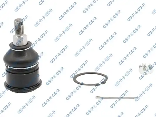 GSP S080481