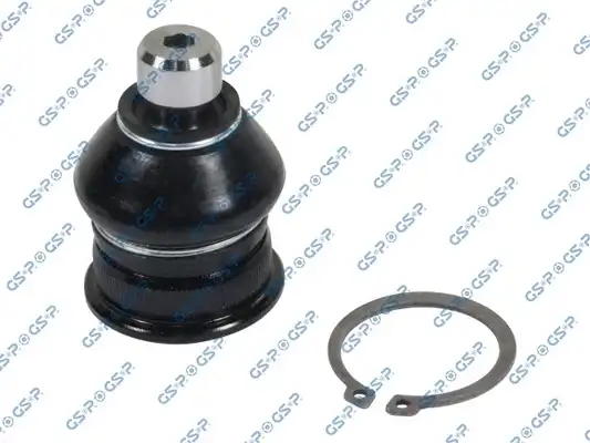 GSP S080581