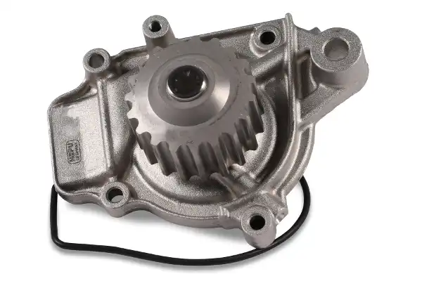 HEPU P046