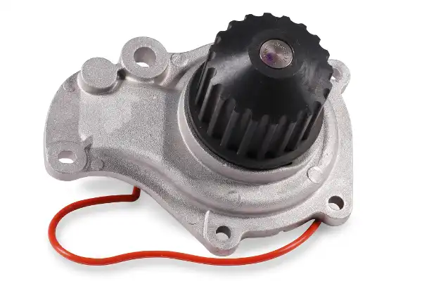 HEPU P1719