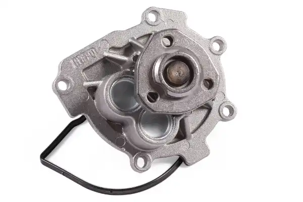 HEPU P363