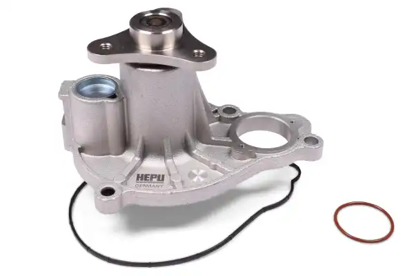 HEPU P439
