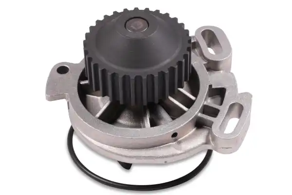 HEPU P534
