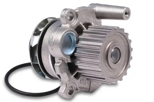 HEPU P549