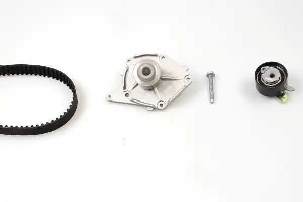 HEPU PK09581