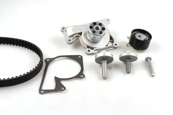 HEPU PK09650