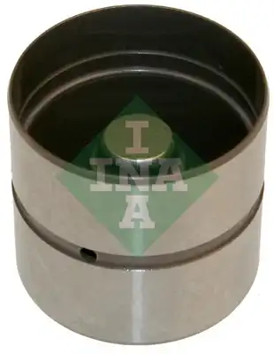 INA 420 0220 10