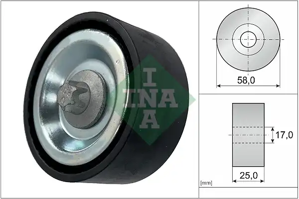 INA 532 0669 10