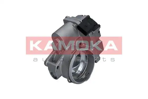 KAMOKA 112011
