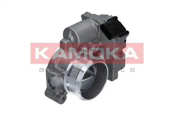 KAMOKA 112013
