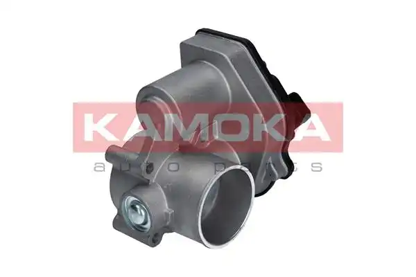 KAMOKA 112024