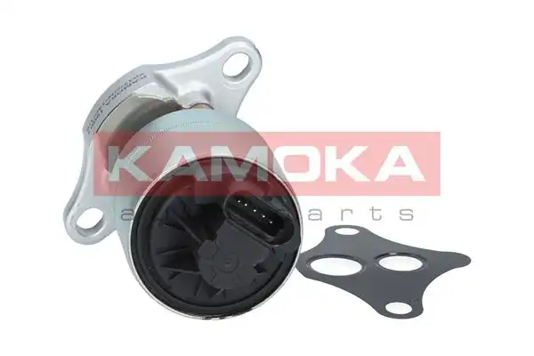 KAMOKA 19001