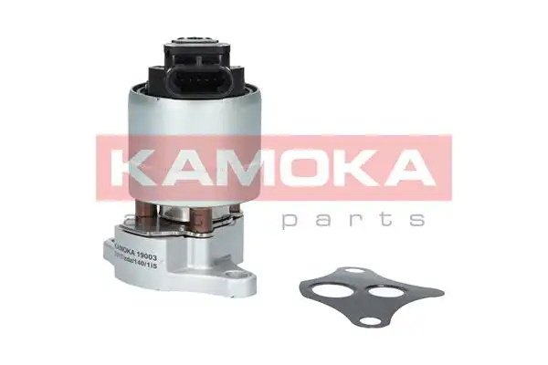 KAMOKA 19003