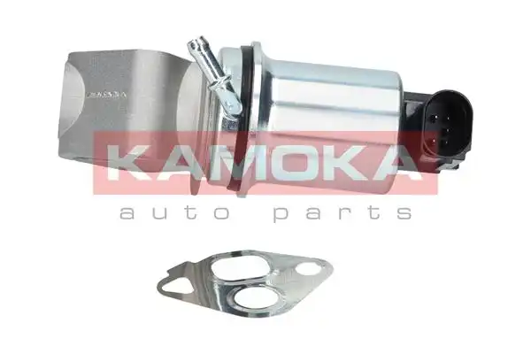 KAMOKA 19004