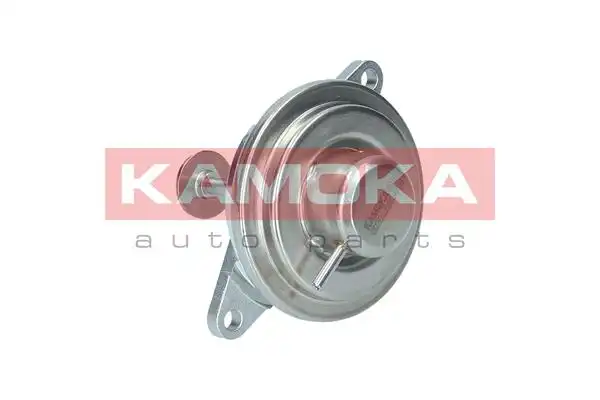 KAMOKA 19012