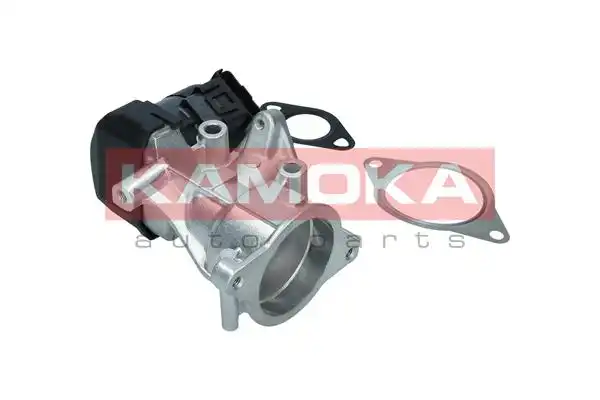 KAMOKA 19046