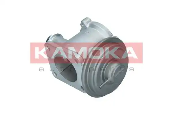 KAMOKA 19062