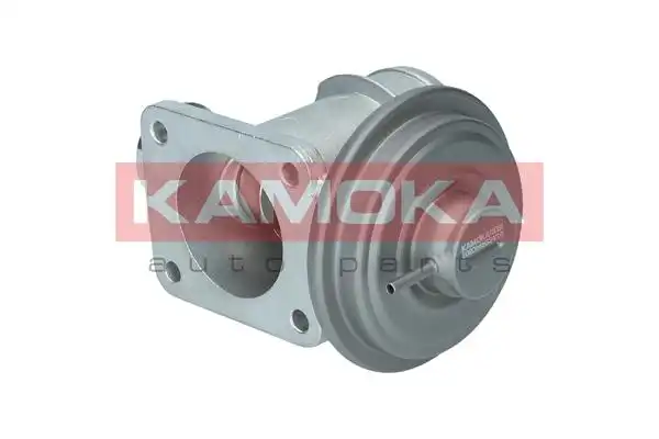 KAMOKA 19064