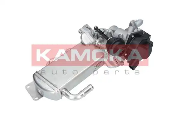 KAMOKA 19068