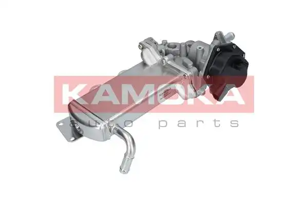 KAMOKA 19069