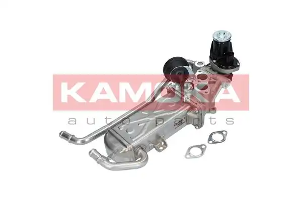 KAMOKA 19070