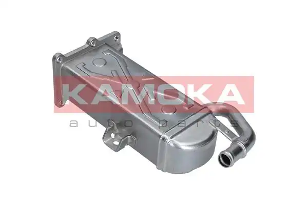 KAMOKA 19C071