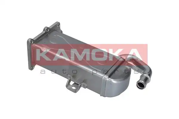 KAMOKA 19C072