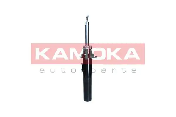 KAMOKA 2001113
