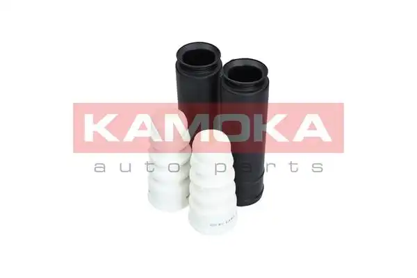 KAMOKA 2019048